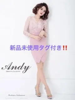 andy 新品未使用タグ付き 袖付きドレスワンピ 七部袖