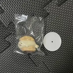 ZOOくりぃむ あざらし ガチャ