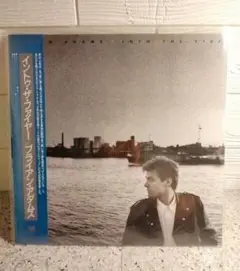 ブライアン・アダムス イン・トゥ・ザ・ファイアー　美盤EX