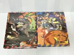 ダンデ　キバナ コレクションファイル