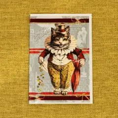 猫 ポストカード レターセット メッセージカード 海外