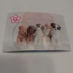 いっしょにねんね　トイプードル