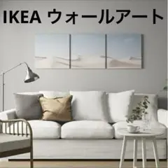 着払(手渡し可)IKEA PJATTERYD プィエッテリード アート, カーブ