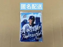 埼玉西武ライオンズ 武内夏暉 75周年シリーズ 東京ドーム トレーディングカード