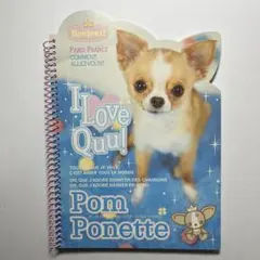 Item thumbnail for item 22e307af-7820-4736-969a-1712eb87cb9f