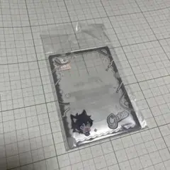 NU:カーニバル　ガル　硬質カードケース