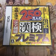 250万人の漢検　プレミアム　DS ソフト