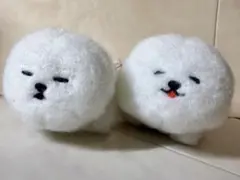 Item thumbnail for item cc6db9ff-e43d-49ba-98ac-ae1360b884b2