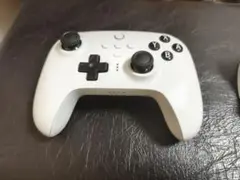 8BitDo Controller ホワイト箱付き！