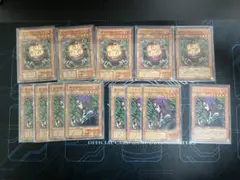 遊戯王OCG 黒き森のウィッチ　クリッター　13枚