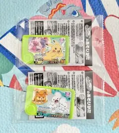 ポケモンフレンダ 31 サーティーワン　ピカチュウ イッカネズミセット