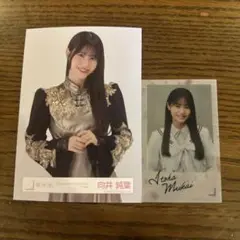 櫻坂46 ランダムクリアステッカー&生写真　向井純葉　②