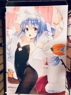 Amazon.co.jp: ホロライブ 兎田ぺこら タペストリー 憂姫はぐれ