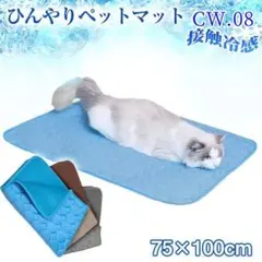 Item thumbnail for item 177f9a61-8ad9-4795-b7f9-d7e5381d6274