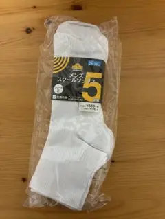 Item thumbnail for item accb9968-6233-4045-af4a-9bbb96210a5f