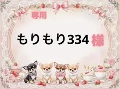 専用