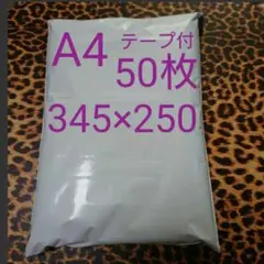 Item thumbnail for item 448fc214-6808-4927-bef4-b4ddf4c0a860