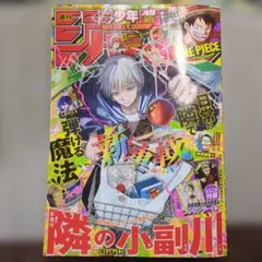 Item thumbnail for item 14eb0055-a89a-422c-bc21-7ed6d949a059