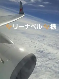 ✨リーナベル✨様