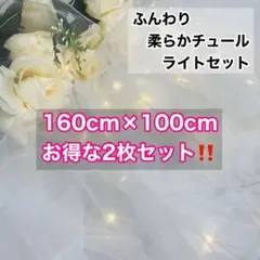 ソフトチュールライトセット【2m分】led3m30球❁⃘*.ウェルカムスペース