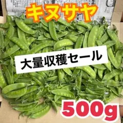 数量限定キヌサヤ500g
