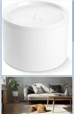 Item thumbnail for item 0f59dcff-6f02-4ce0-ab45-293c9759cad4