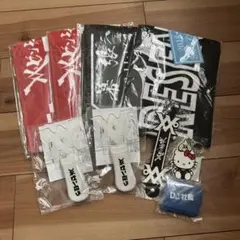 新品未使用 レペゼン地球 グッズセット