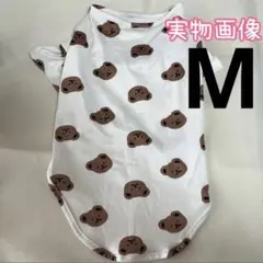 Item thumbnail for item bd65a0bb-f237-4156-976d-6c422e8cef11