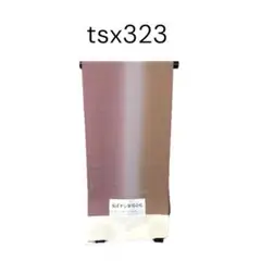 Item thumbnail for item 68c78b3f-3bc0-4e1e-9b55-32eddec70d1b