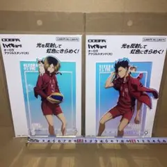 ハイキュー ファンパーク オーロラアクリルスタンド(大) 黒尾鉄朗 孤爪研磨