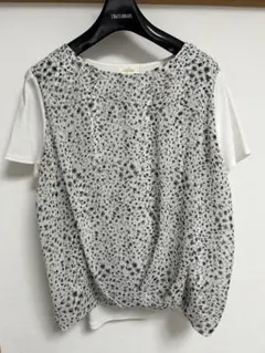 ALPHA CUBIC ドレープデザイン 半袖ドット柄Tシャツ　黒色と白色の2枚