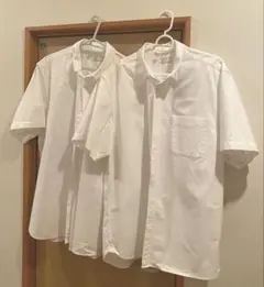 無印良品　ボタンダウンシャツ　半袖　XL