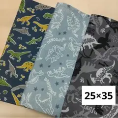 Item thumbnail for item 84e33a24-e657-427c-b728-0f2c500df706