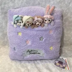 ダッフィー &フレンズ　オータムスリープオーバー ぬいぐるみバッジ 4点 オータムスリープオーバー ダッフィーとシェリーメイの