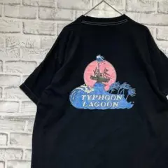 USA製90sヴィンテージTシャツ！シングルステッチ　ブラック半袖古着XL728