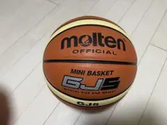 molten ミニバスケットボール GJ5 5号