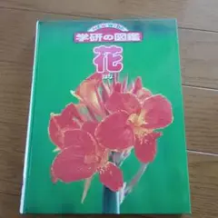 NEW WIDE 学研の図鑑 花