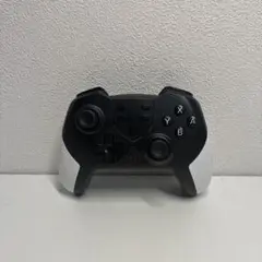 ブラック/ホワイト コントローラー USB-C