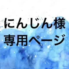 にんじん様専用ページ