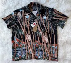 Item thumbnail for item 996647a6-fbd6-47c1-948c-5e08aa1152a4