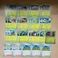 ポケモンカード　活力の森　メガニウム　フシギダネメガブレイブ　メガシンフォニア