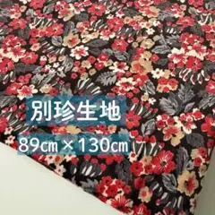 Item thumbnail for item a8667b95-f45f-4bf2-bd00-93b050a644ca