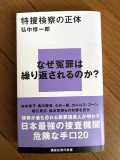 特捜検察の正体　弘中惇一郎