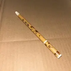 Item thumbnail for item c8d69dd3-b3c7-4e3b-a9b6-0bcddbb59cd9