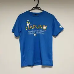 DESCENTE春高バレーTシャツ 2016 Mサイズ