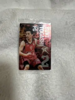 Item thumbnail for item 9e14c777-d385-4438-9097-4afbfa39b3f2