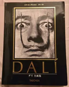 絶版 サルバドール・ダリ全画集 「Dali - The Paintings」洋書 DALI The Paintings】TASCHEN サルバドール・ダリ 画集 | artbookano