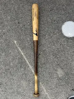 Item thumbnail for item 4e94e93e-20ba-46f4-b52e-bffedfb92187