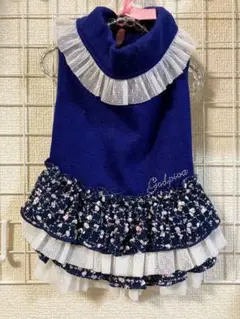 Item thumbnail for item fe99f617-674b-4f2d-96e1-de7535c9bcf5