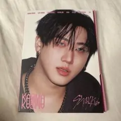 KARMA 開封済み未再生 アルバム CD アコーディオン チャンビン